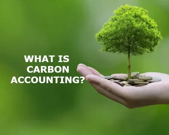 Carbon Accounting: Cara Menghitung Scope 1, Scope 2, Scope 3 dan Membangun GHG Inventory