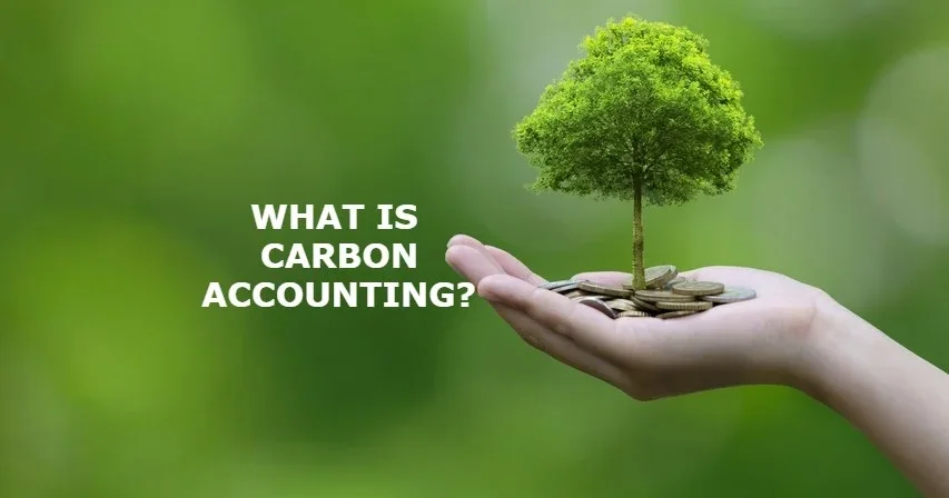 Carbon Accounting: Cara Menghitung Scope 1, Scope 2, Scope 3 dan Membangun GHG Inventory